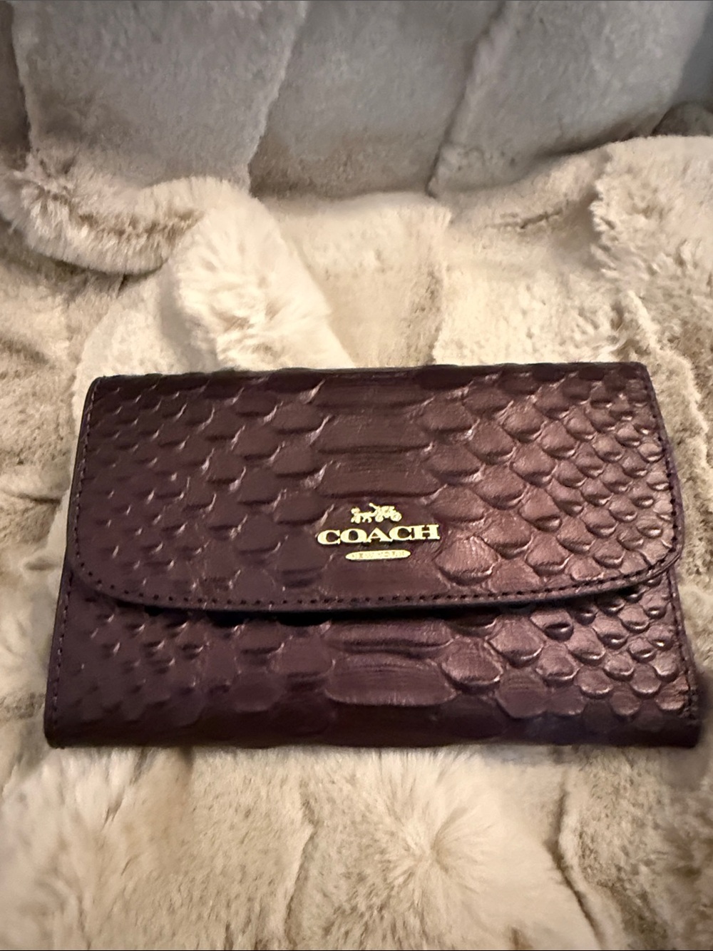 NWOT Coach Phyton envelope wallet RP$250